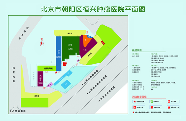 操逼毛片不卡高清爽死了北京市朝阳区桓兴肿瘤医院平面图